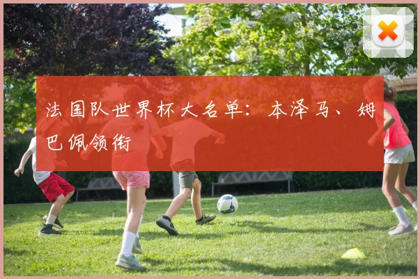 法国队世界杯大名单：本泽马、姆巴佩领衔