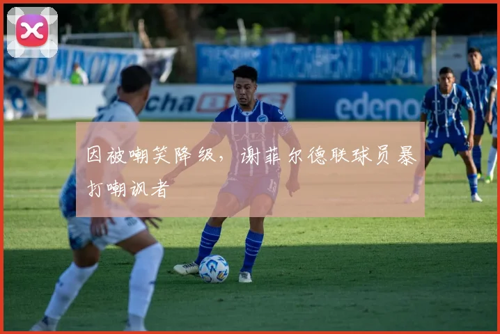 因被嘲笑降级，谢菲尔德联球员暴打嘲讽者